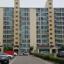 정왕라성약국 이미지