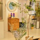 도스 안경원 이미지