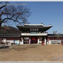 수원-0536 티스토리