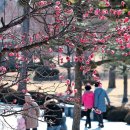 (주)코리아세븐 의왕오전신안점 | 89 - COVID19 / 대한민국(2022년 2월)