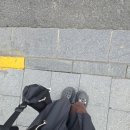 대화운수 | [두번째 상하이 여행7] 상하이 근교 진짜 현지인만 아는 평화로운 분위기 좋은 장소(ft.운수 좋은 날🥲)