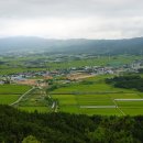 죽동새원 Daum카페