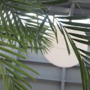 치유와 성장의 글쓰기(2) 이미지