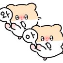 정촌약국 이미지