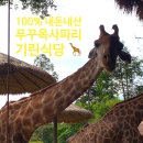 (주)하나 | 푸꾸옥 빈펄 사파리 입장권 할인 주트램 기린식당 내돈내산 후기