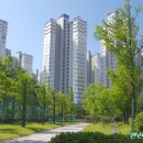 율곡고등학교 앞 이미지