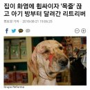 인 이미지