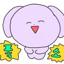 탑매일약국 이미지