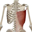 탑 휘트니스 이미지