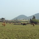 선경목장 이미지