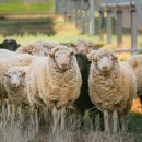 상승 태양광발전소 이미지