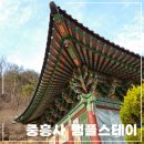 부부고양이사업단 | 중흥사 템플스테이, 서울 근교 템플스테이 추천글