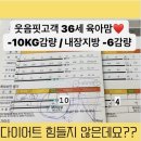 1:1엘·핏 이미지