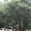 진선목장 이미지