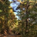 주식회사 소향 이미지