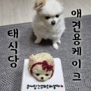 반려동물 수제간식 태식당 | 태식당 천안강아지수제간식, 반려동물 기념일 생일 케이크 제작