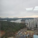 군산은파공인중개사사무소 이미지