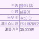 강남애니펫샵 이미지