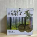 다모숲 이미지