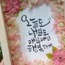 꽃소담 이미지