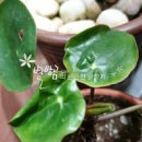 홍집농장 이미지