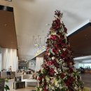 칼튼 | 하와이 더 리츠칼튼 오아후 터틀베이 후기