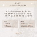 아이솔루션눈썹