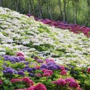 신안축구장 축구장 이미지