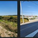 성환천 억새길 이미지