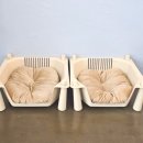 전주애견유치원 몽카롱 이미지