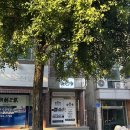 탄방동피티_제대로 알고 배우는 알파 스트렝스 짐 체형교정 피티 후기