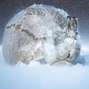 빅픽처6(Big Picture6) 이미지