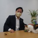 펫심