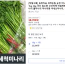 조정익농장 티스토리