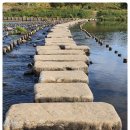 주식회사 메디칼탑 이미지