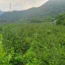 선리농장 이미지