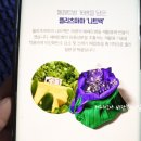 진필환경 이미지