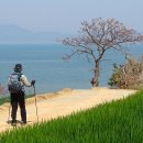 신대림주유소 이미지