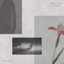 윤언니