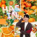 [토요일고정배사오픈] 이번주는 한개만 오픈해요~🥲🙏 (이유내용에 기재해둘게용) 감사합니당🪻 이미지