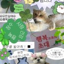 공부 빼고 다 재밌는 학교