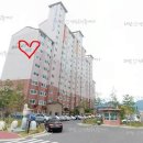 약동초교 이미지