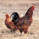 수하휴게소민박 이미지