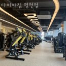 다이아짐 이미지