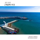 대진항 해수욕장 | 경북 영덕 :: 고래불해수욕장 【25년1월12일】