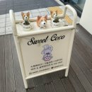 은쌤동물병원 이미지