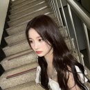 052. 돼리아의 주간일기