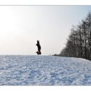 대관령목장 이미지