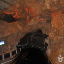 관광특구로 이미지