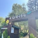 [용인 한택식물원] 자연 그대로의 식물원 4월 꽃 입장료 후기